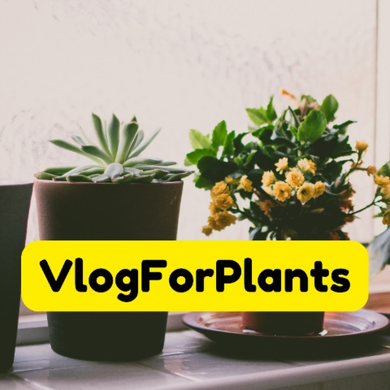 vlogforplants