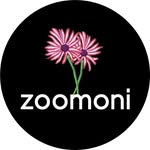Zoomoni Organizers & Accessories