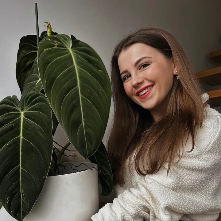 plantjesvanbirke