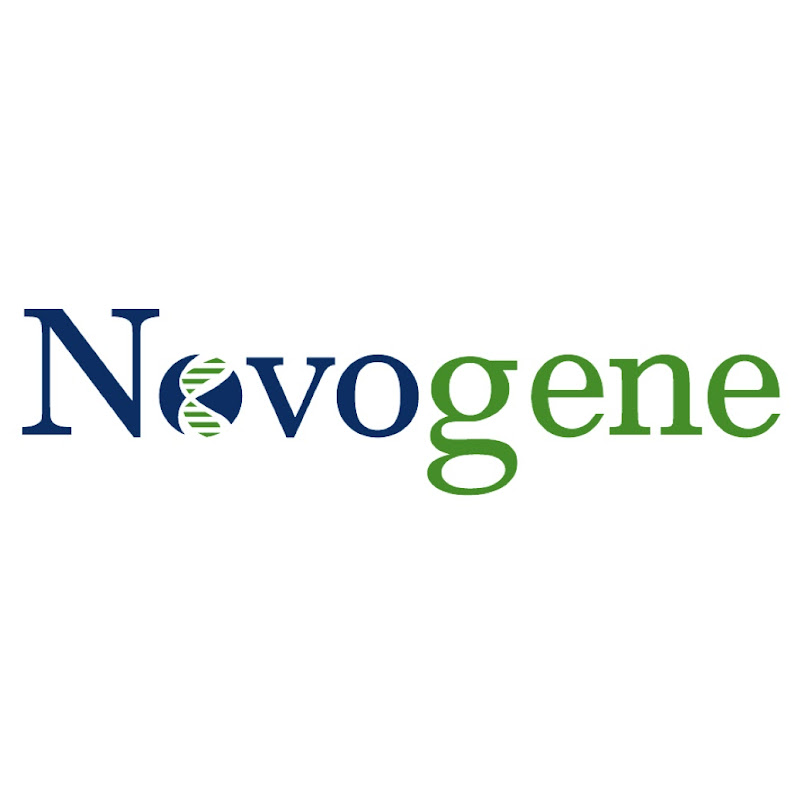 Novogene