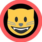 Cat Videos | Cute & Funny Cats