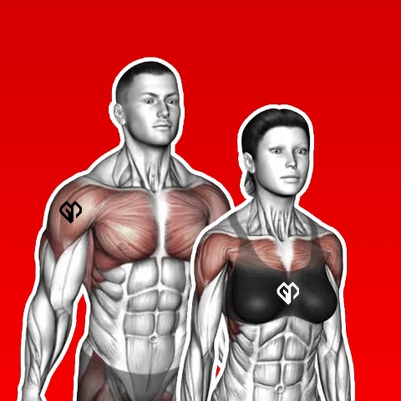 Gymplode Official