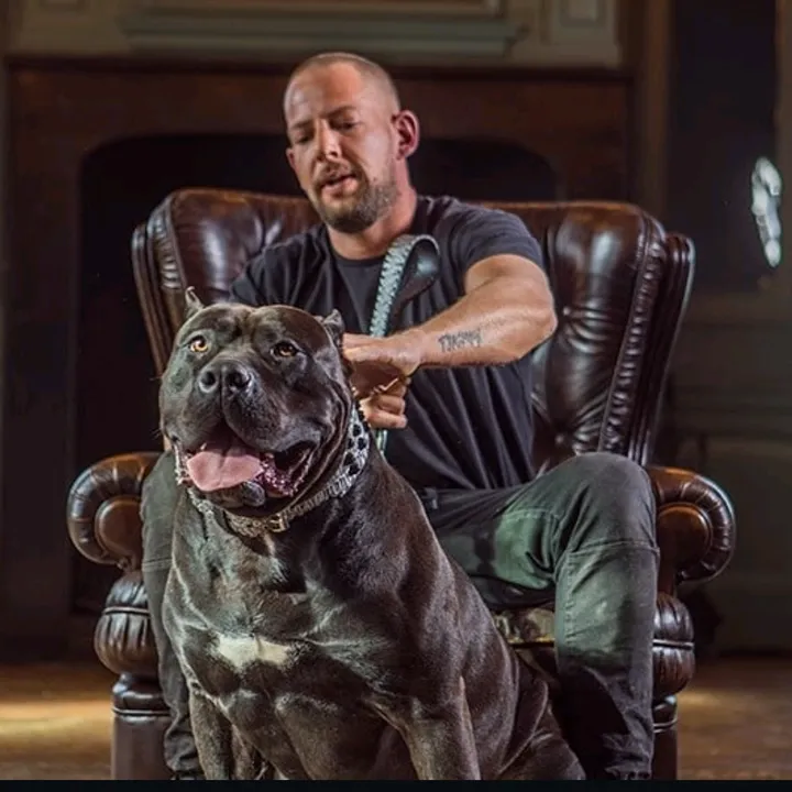 StreetLegalPanther_FYB