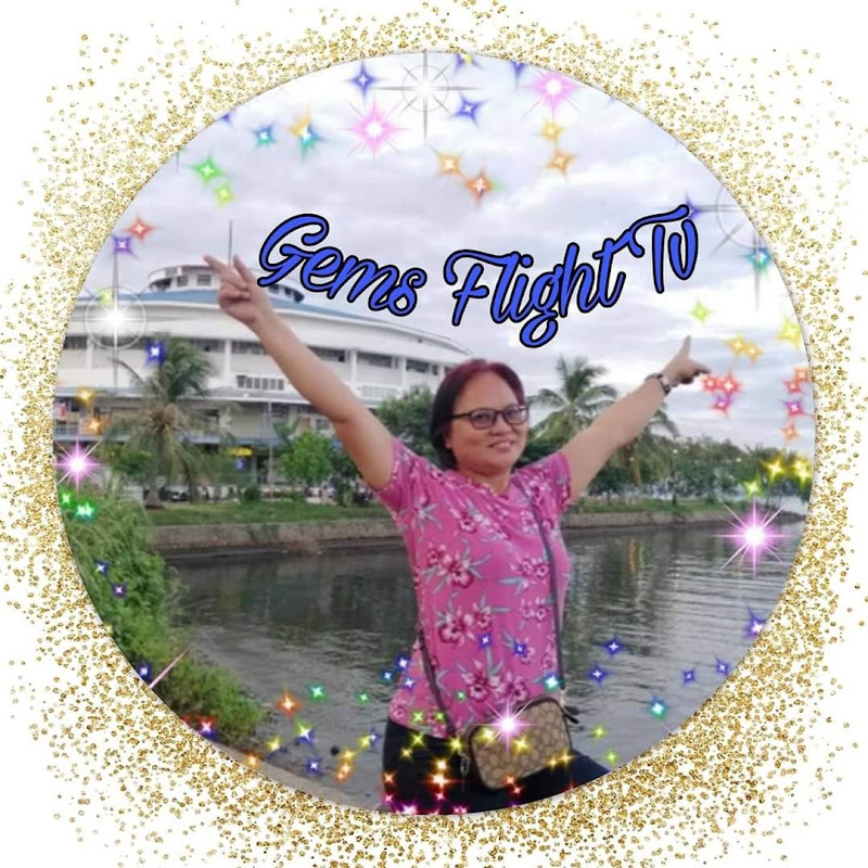 GEMs FLight TV