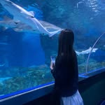 Heejin / Minkyung or Summer✈️