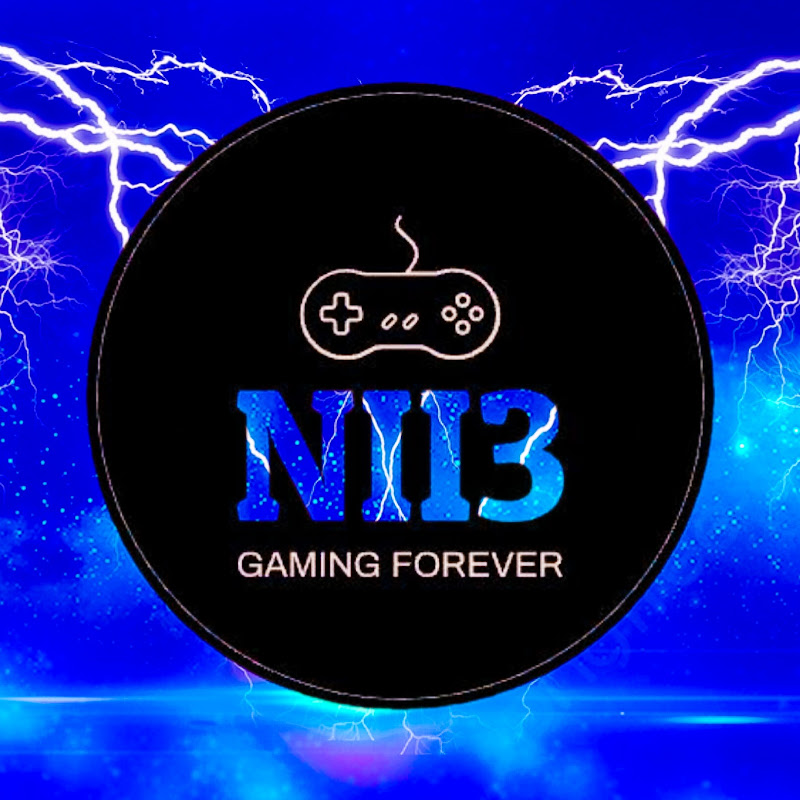 NII3 The Gamer