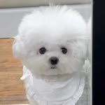 하리 ෆ⃛