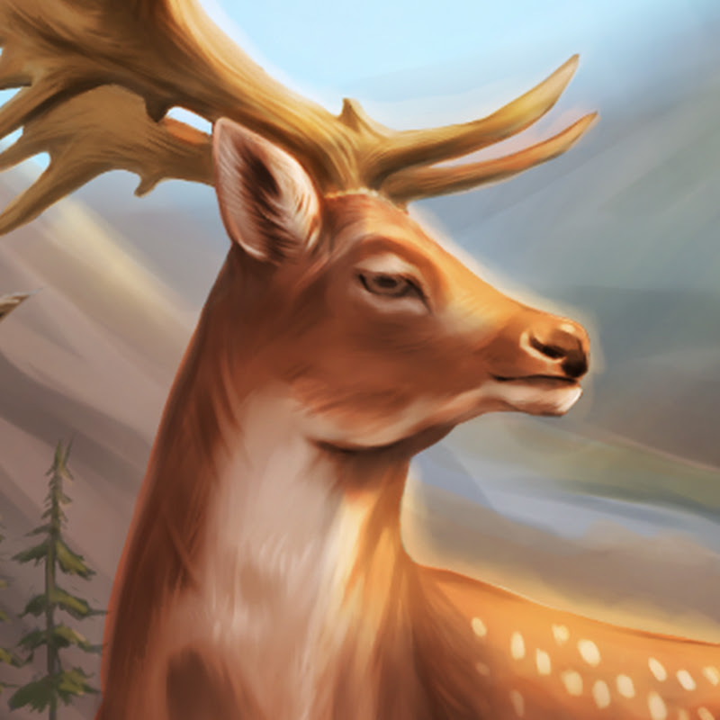 Virtual Hunter