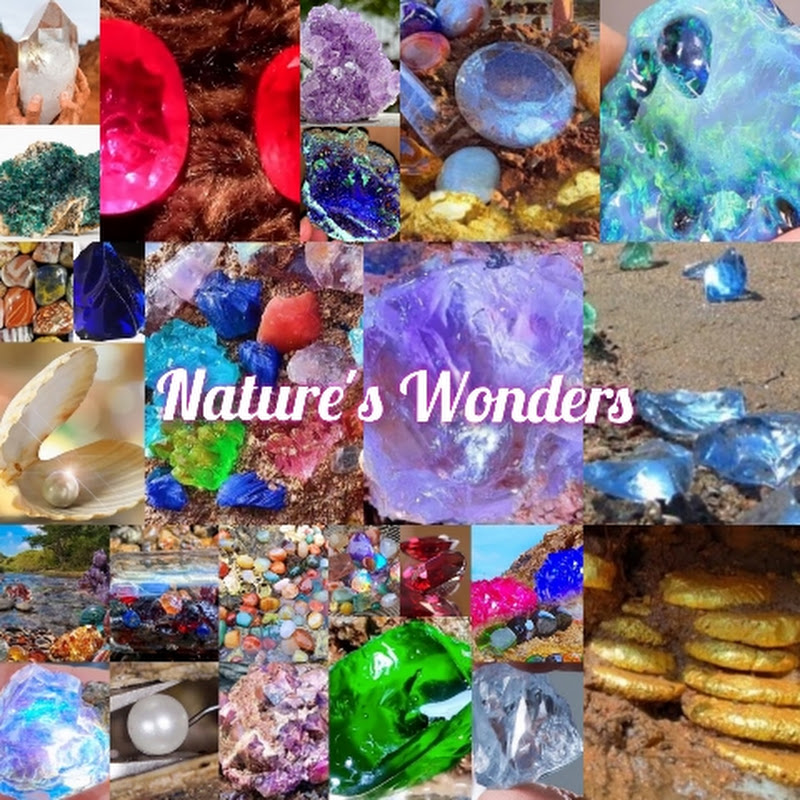 GOD'S WONDERS IN NATURE 