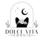 Dolce Vita Corgis • Fluffy Corgi Breeder