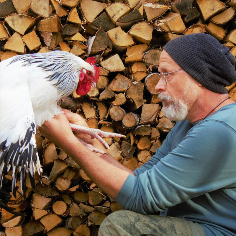 Slow life by the lake