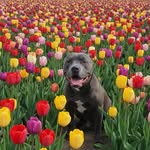 Mickey Blue & Family