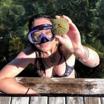 mckensea 🪼 marine science