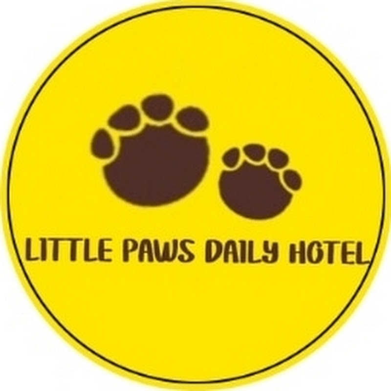 Little Paws Daily Hotel 