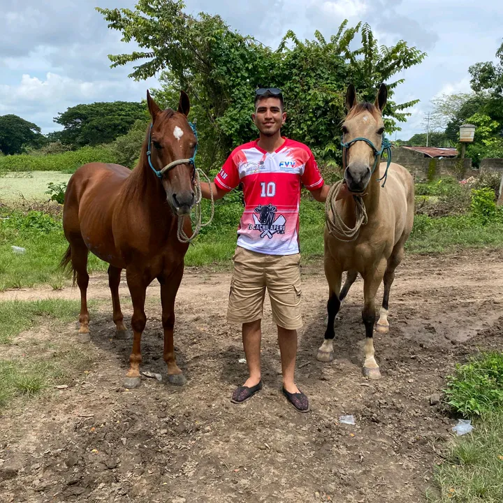 Alicar Goitia