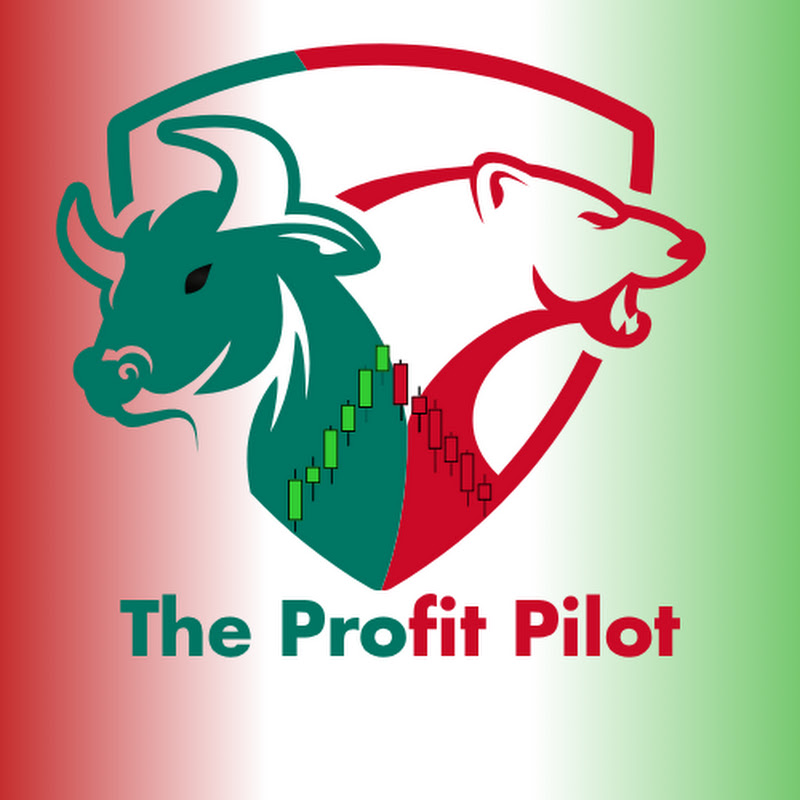 The Profit Pilot