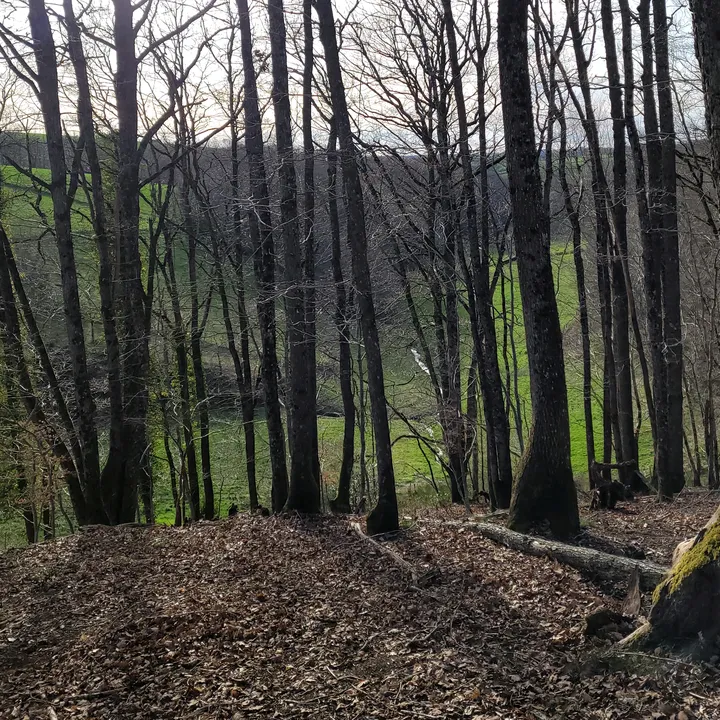 camchasse12