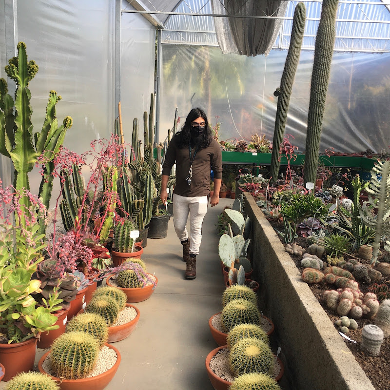 Modern Grower