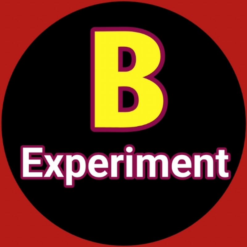 B Experiment