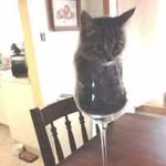 Keku