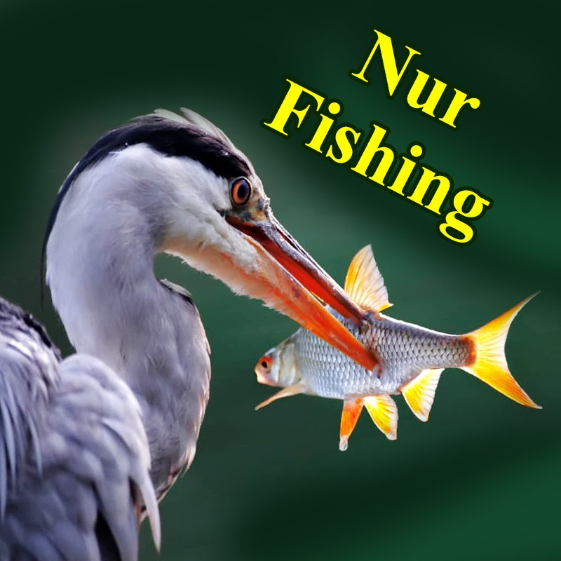 Nur Fishing