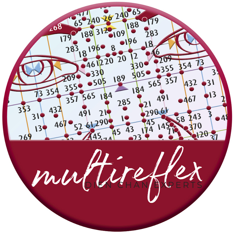 Dien Chan Multireflex