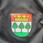 tsv_kronshagen_2015