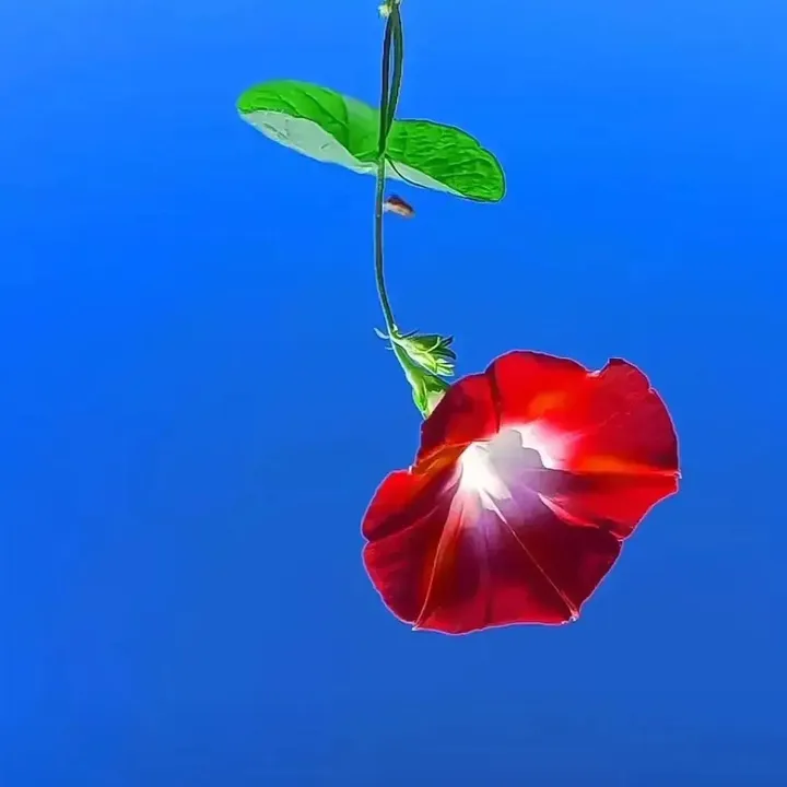 遇到我的人都会开心