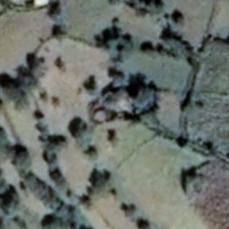 WALDBA Multi-Media   ዋልድባ ማልቲ ሚዲያ 