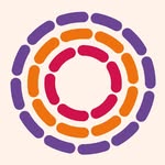neslipatterns