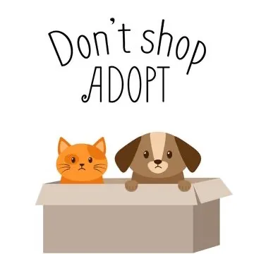 adoptabledogscalifornia