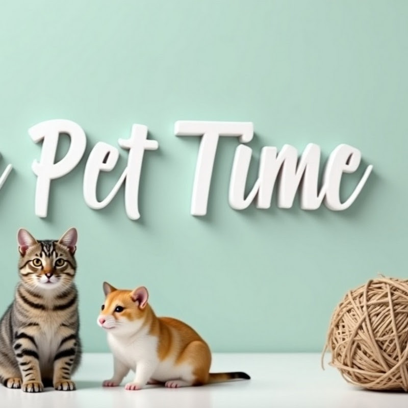 On Pet TV