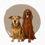 Cooper and crew 🐾