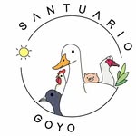 Santuario Goyo 💛