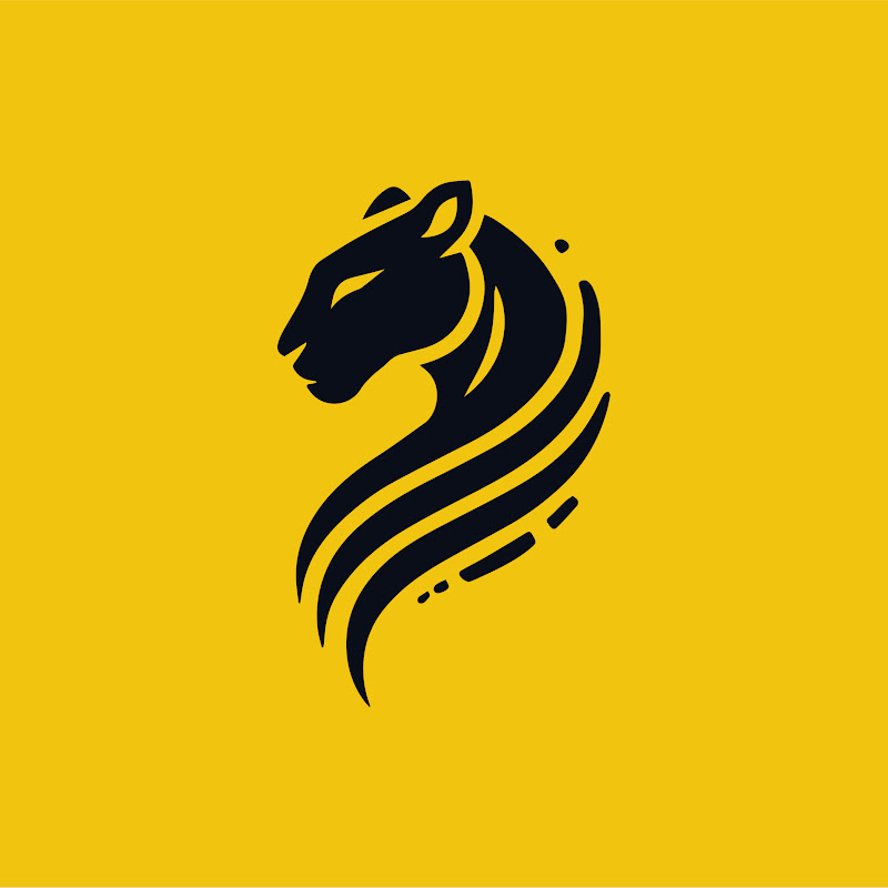 PantherSport Boxing