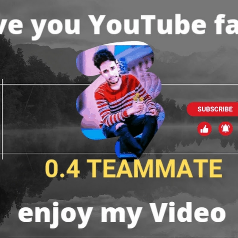 0.4 Teammate