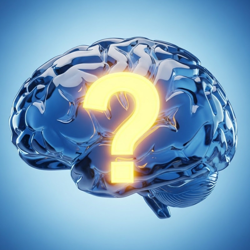 Waada Reels Español