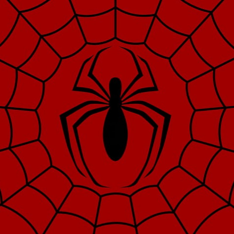 Hombre Araña Race-360