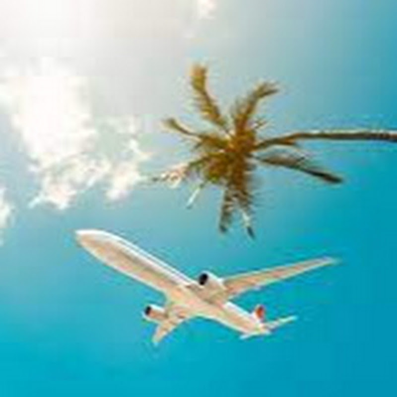 My Travel Agent David