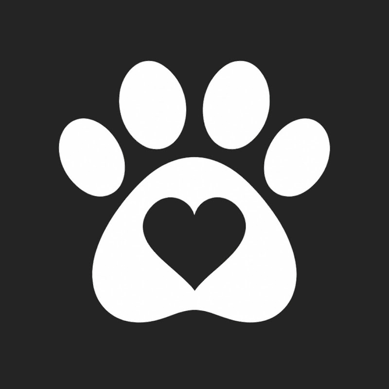 Paws Remember