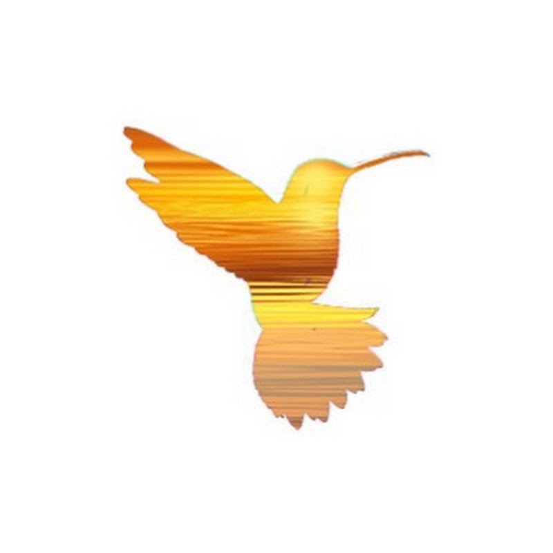 Relaxation Music - Hummingbird