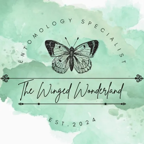 The Winged Wonderland-Emma