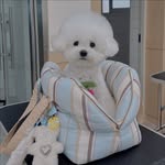 ＭＩＮＩ 🧸 ｗｉｔｈ ｍｅ