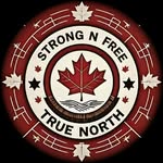 strongnfreecdn_team