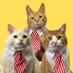 Pedro Manoese, Paulo Zoreia, Jaum e as CRAUDIAS