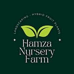 Hamza Nursery Farm ®