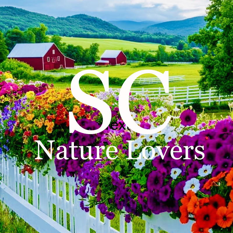 Serene Countryside