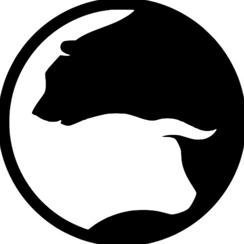 SomosBulls