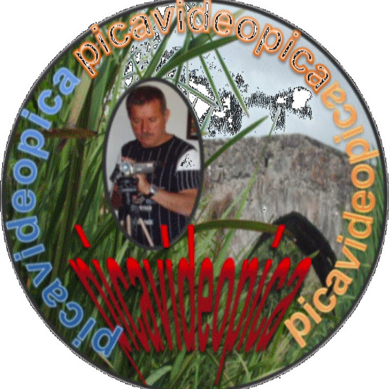 picavideopicatv   - Edição de Video Amador