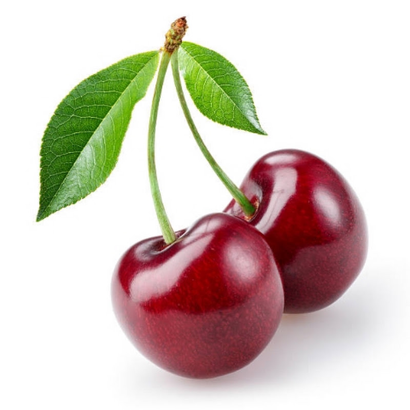 CherryFarm pruning & grafting